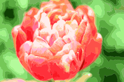 Spring Flower 2017043049