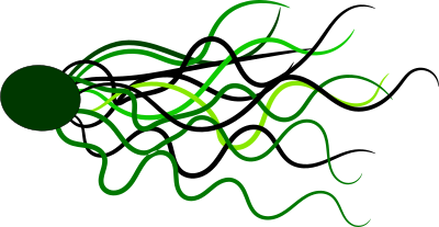 flowing