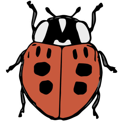lady beetle color