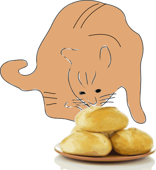 cat eats bread