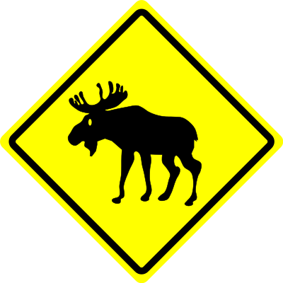 caution moose