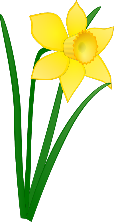 daffodil jonathan dietri 01