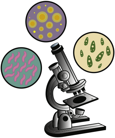 microscope virus color